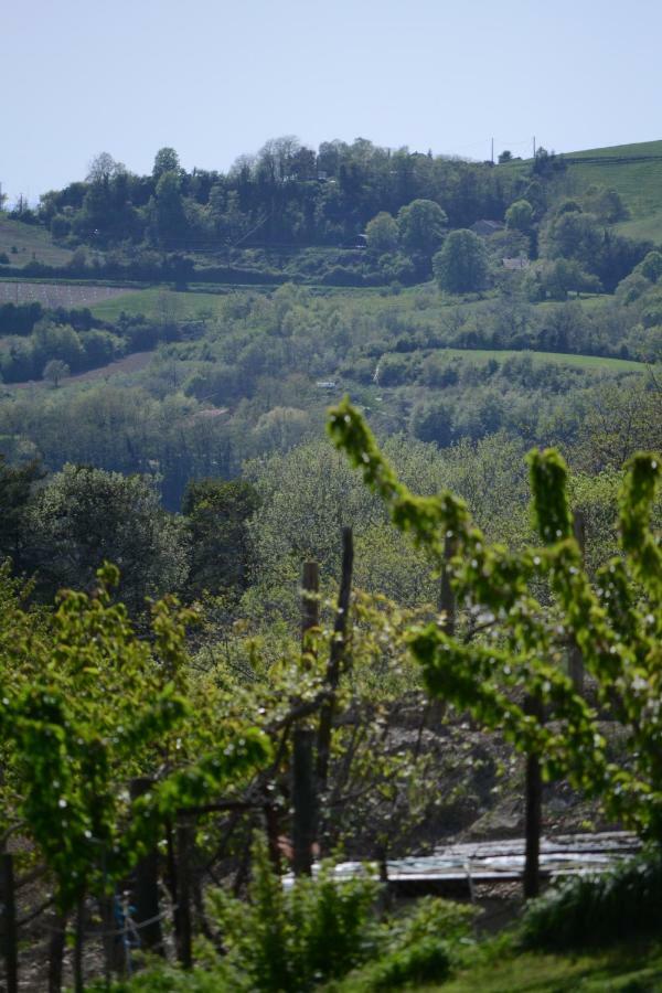 Gite Les Pins Montchenu Εξωτερικό φωτογραφία